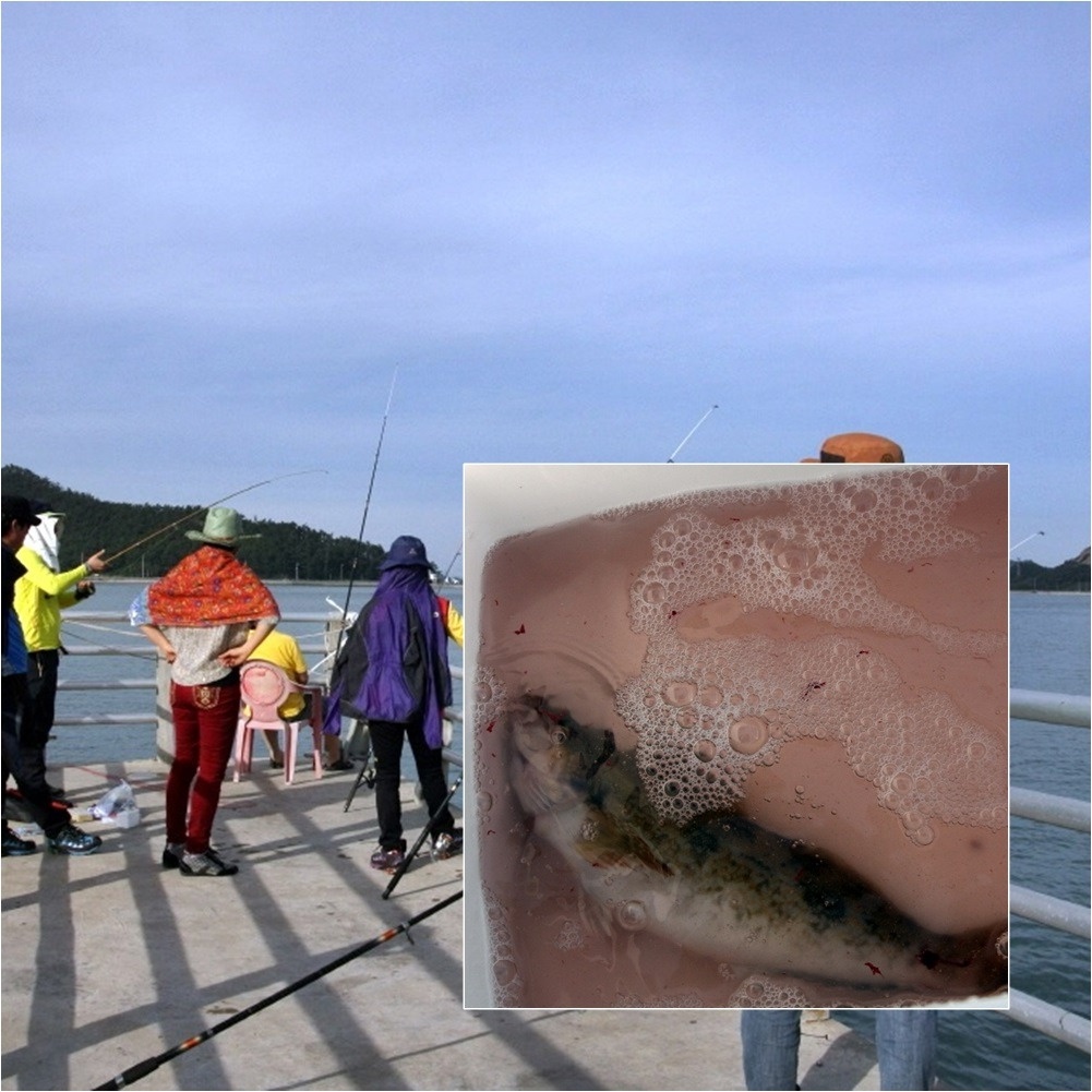 201504281007040.jpg