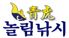 놀림낚시