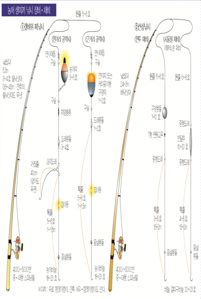 2.jpg 장비/채비 농어 생미끼 낚시 장비,채비 1.갯바위 낚시 낚싯대 5.3m 3~4호 릴낚싯대(3.6~4.5m 전후의 릴낚싯대도 무난) 4000~5000번 중,대형 스피닝릴 원거리 공략시 면사매듭 구슬 농어찌 3~5호 구슬 찌멈춤봉 도래봉돌 3~4호 삼각도래 가짓줄 40cm(없어도 무관) 집어등 목줄 5~6호 1~1.5m 좁쌀봉돌 농어바늘 19~23호 원줄 5~6호 근거리 공략시 면사매듭 구슬 전지찌 또는 케미꽂이형 구멍찌 1~2호 구슬 도래봉돌 1~2호 집어등 목줄 5~6호 1~1.5m 좁쌀봉돌 농어바늘 18~23호 미끼: 주로 청갯지렁이, 간혹 새우,참갯지렁이도 쓴다. 2.선상 낚시 낚싯대 2.4~3m 배낚싯대 4000~5000번 중,대형 스피닝릴 원투채비 원줄 5~6호 구멍봉돌 7~10호 T형 완충고무 중형도래 목줄 3~5호 1.5~2m 좁쌀봉돌 시울질 채비 어부식 손 채비 원줄 6~8호 중형도래 목줄 4~5호 1.5~2m 좁쌀봉돌 바늘 깔따구바늘 20~23호