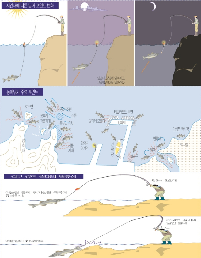 4.jpg 시간대에 따른 농어 포인트 변화 낮보다 달밤에 얕아지고 그믐밤엔 더욱 얕아진다. 농어낚시 주요 포인트 암초대 여주변 콧부리 거품지대 수중어 주변 조류 콧부리 근처 거품지대 명암부 경계역 방파제 모퉁이 테트라포드 주변 방파제 선착장 배수구 하구 반류대 만입된 백사장 백사장 길고 강한 릴대의 중요성 5.3m 3호대 여쓸림 등의 위기상황 극복에 유리하다. 3~4m 길이의 일반 릴대 여쓸림에 취약하다.
