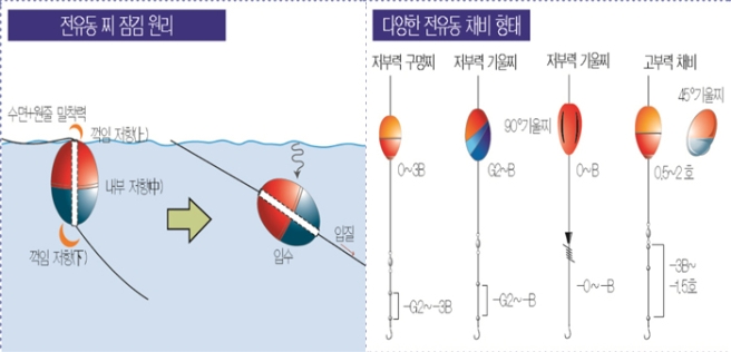 6.jpg 장비/채비4 전유동 찌 잠김 원리 수면+원줄 밀착력 꺽임 저항(상) 내부 저항(중) 꺽임 저항(하) 입수 입질 다양한 전유동 채비 형태 저부력 구멍찌 0~3B 저부력 기울찌 90도 기울찌 G2~B -G2~B 저부력 기울찌 0~B -0~-B 고부력 채비 45도 기울찌 0.5~2호 -3B~-1.5호
