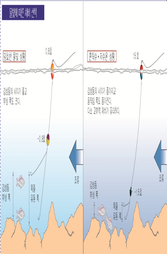 12.jpg 장비/채비10 물빛에 따른 채비 선택 양호한 물빛 상황 감성돔의 시야가 좋고 부상 폭도 크다. 0.8호 -0.8호 감성돔 부상 폭 목줄 유동 폭 조류 혼탁수,저수온 상황 감성돔의 시야가 좁아지고 움직임 폭도 좁아진다. 다소 고부력 채비가 유리하다. 1.5호 -1.5호 감성돔 부상 폭 목줄 유동 폭 조류