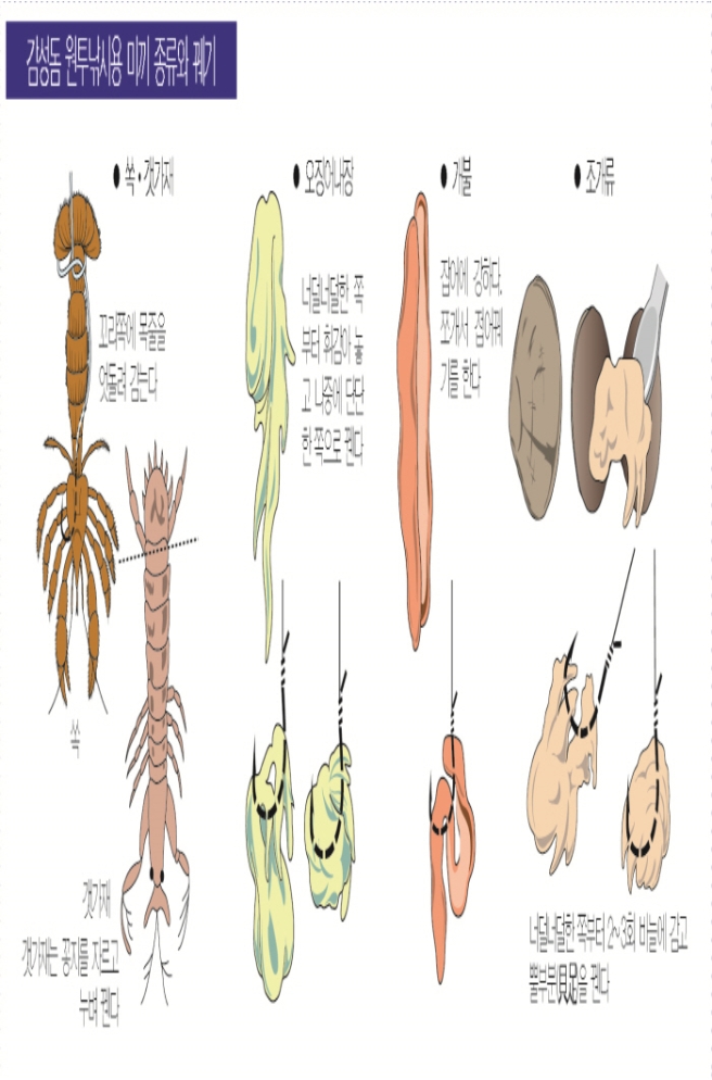 13.jpg 장비/채비11 감성돔 원투낚시용 미끼 종류와 꿰기 쏙,갯가재 쏙 고리쪽에 목줄을 엇돌려 감는다. 갯가재 갯가재는 공지를 자르고 누벼꿴다. 오징어내장 너덜너덜한 쪽부터 휘감아 놓고 나중에 단단한 쪽으로 꿴다. 개불 잡어에 강하다. 쪼개서 접어꿰기를 한다. 조개류 너덜너덜한쪽부터 2~3회 바늘을 감고 뿔부분을 꿴다.