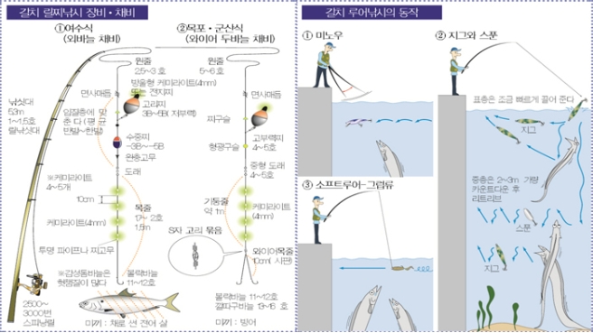 3.jpg 장비/채비2 갈치 릴찌낚시 장비,채비 1.여수식(외바늘 채비) 낚싯대 5.3m 1~1.5호 릴낚싯대 2500~3000번 스피닝릴 원줄 2.5~3호 방울형 케미라이트(4mm) 또는 전지찌 면사매듭 고리찌 3B~5B(저부력) 입질층에 맞춘다(평균 반발~한발) 수중찌 -3B~-5B 완충고무 도래 케미라이트 4~5개 10cm 목줄 1.7~2호 케미라이트(4mm) 투명 파이프나 찌고무 볼락바늘 11~12호 감성돔바늘은 헛챔질이 많다. 미끼:채로 썬 전어 살 2.목포,군산식(와이어 두바늘 채비) 원줄 5~6호 면사매듭 찌구슬 고부력찌 4~5호 형광구슬 기둥줄 약1m 케미라이트(4mm) s자 고리 묶음 와이어 목줄 10cm(시판) 볼락바늘 11~12호 깔다구바늘 13~16호 미끼:방어 갈치 루어낚시의 동작 1미노우 2지그와 스푼 표층은 조금 빠르게 끌어 준다 지그 중층은 2~3m 가량 카운트다운 후 리트리브 스푼 지그 3소프트루어-그럽류