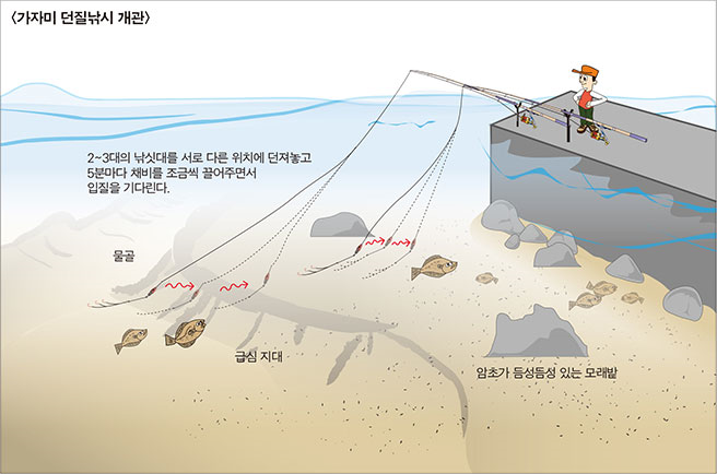 가자미 던질낚시 개관 이미지