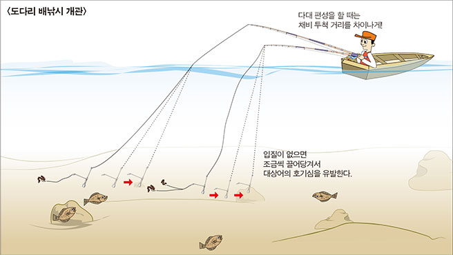 도다리 배낚시 개관 이미지