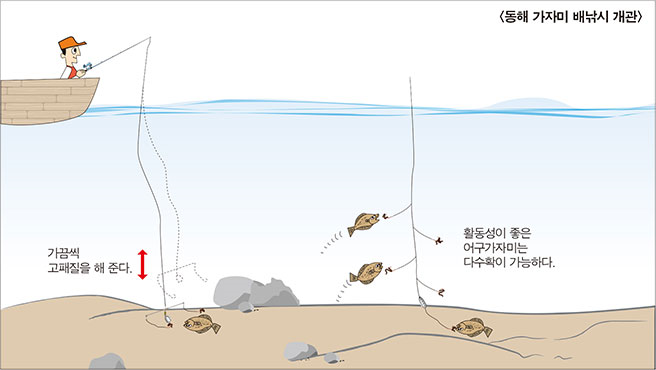 동해 가자미 배낚시 개관 이미지