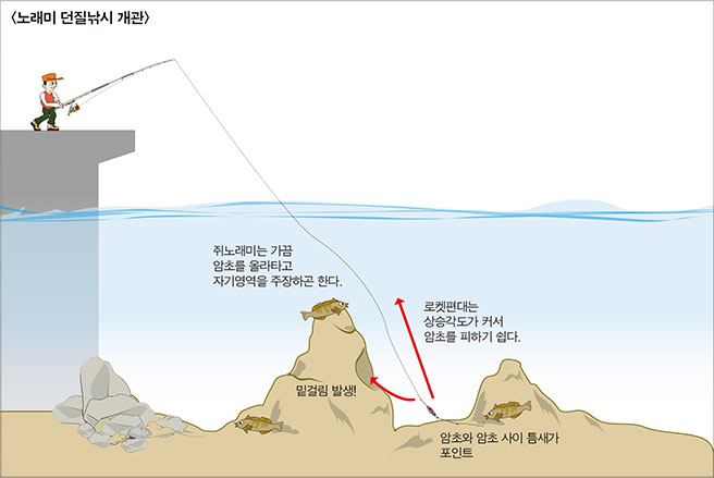 노래미 던질낚시 개관 이미지