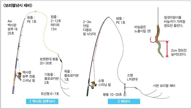 보리멸낚시채비