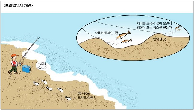 보리멸낚시 개관