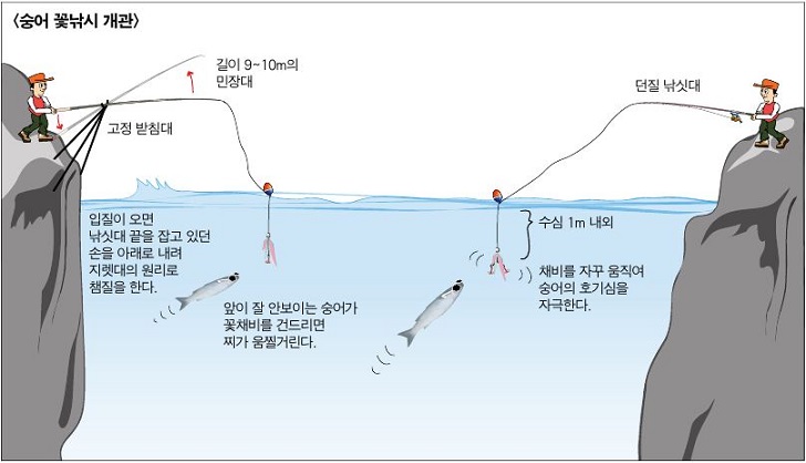 숭어떡밥낚시개관