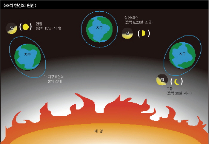 <조석 현상의 원인> 만월(음력 15일-사리) 지구 지구표면의 물의 상태. 상현/하현(음력 8.23일-조금) 지구 달. 그믐(음력 30일-사리) 지구 달. 태양