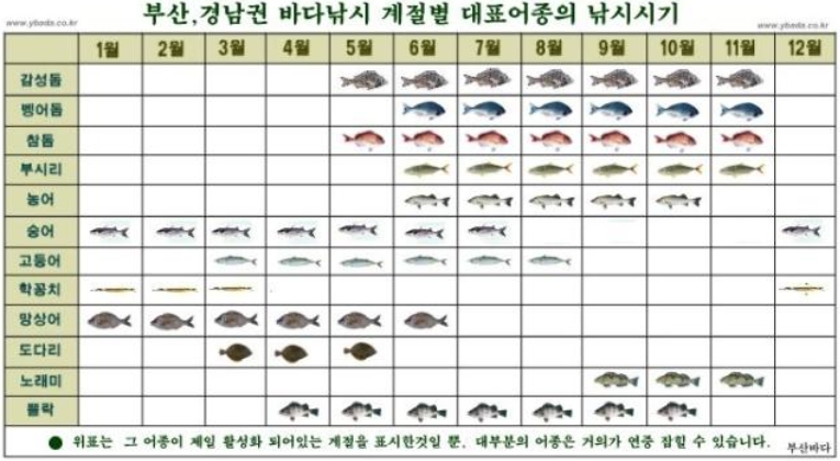 부산,경남권 바다낚시 계절별 대표어종의 낚시시기 감성돔 : 5,6,7,8,9,10,11월 뱅어돔 : 6,7,8,9,10,11월 참돔 : 5,6,7,8,9,10,11월 부시리 : 6,7,8,9,10,11월 농어 : 6,7,8,9,10월 숭어 : 1,2,3,4,5,6,7,12월 고등어 : 3,4,5,6,7,8월 학꽁치 : 1,2,3,12월 망상어 : 1,2,3,4,5,6월 도다리 : 3,4,5월 노래미 : 9,10,11월 볼락 : 4,5,6,7,8,9,10월 *위표는 그 어종이 제일 활성화 되어있는 계절을 표시한것일 뿐, 대부분의 어종은 거의가 연중 잡힐 수 있습니다.